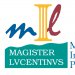 Seminario Especial de Patentes - Magister Lvcentinvs