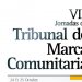 VIII Conference of the Community Trade Mark Court