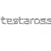 Ferrari pierde los derechos sobre su marca "Testarossa"